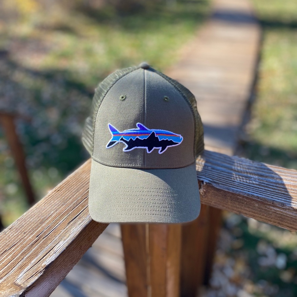 Patagonia Fitz Roy baseball cap
